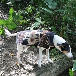 Pendleton Acadia Pet Coat by Anthropologie-COLOR:
Harding